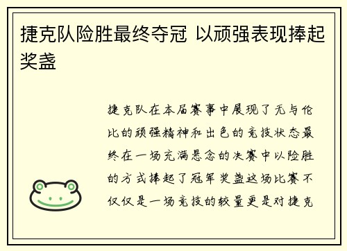 捷克队险胜最终夺冠 以顽强表现捧起奖盏