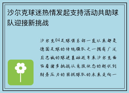 沙尔克球迷热情发起支持活动共助球队迎接新挑战